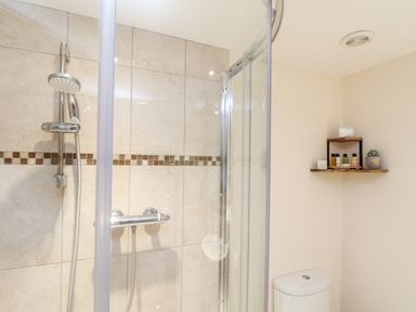A bathroom with a glass shower enclosure a tiled wall a shower head a toilet and a corner shelf with toiletries and a plant at Potters Barn Trevarno near Helston