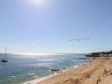A sandy beach with people swimming and sunbathing and a sailboat in the sea at Potters Barn in Trevarno near Helston