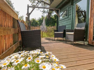 An outdoor deck with wicker chairs daisies and a striped hanging chair at Dart View Hideout in Totnes