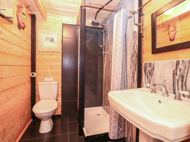 A bathroom with a toilet shower and sink at Dart View Hideout in Totnes