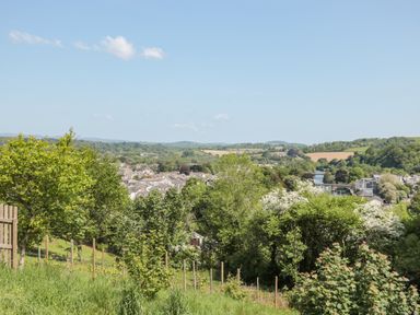 A landscape view of a town with trees and hills in the background at Dart View Hideout in Totnes