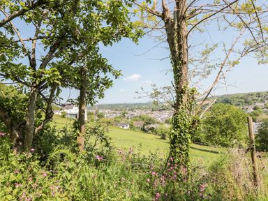A countryside view with trees flowers and a town in the distance at Dart View Hideout in Totnes