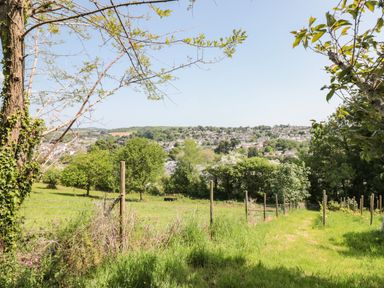 A grassy path with wooden fence posts and trees overlooking a town and hills at Dart View Hideout in Totnes