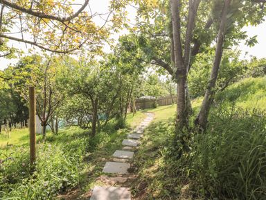 A pathway made of stepping stones through a garden with trees and grass at Dart View Hideout in Totnes