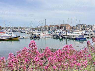 A harbor with many docked boats and pink flowers in the foreground at The Skipper's House in Weymouth