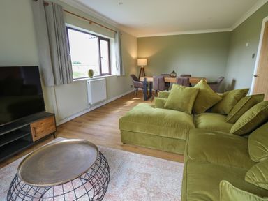 A living room with a green sofa a metal wire coffee table a wooden dining table with chairs a floor lamp and a television at Sea View in St Clears