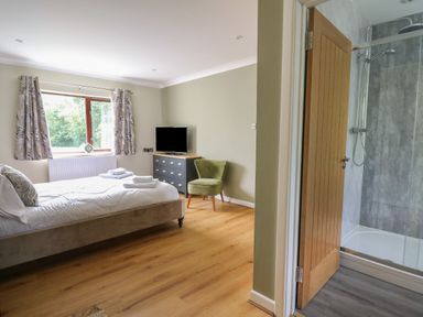 A bedroom with a bed a dresser a TV an armchair and an ensuite shower at Sea View in St Clears