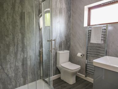 A bathroom with a glass shower enclosure a toilet a heated towel rail and a window at Sea View in St Clears