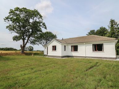 A single story house with white walls and a tiled roof on a grass lawn with trees around at Sea View in St Clears