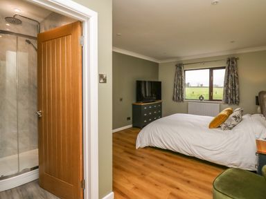 A bedroom with a bed pillows a window and a television on a dresser next to a bathroom with a wooden door at The Oaks in St Clears