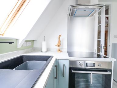 A kitchen countertop with a black sink, paper towel holder, wooden duck figurine, electric stove, and oven at Kingfisher in Isleham