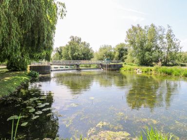A river with a small dam and bridge surrounded by trees and vegetation