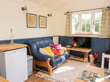 A living room with a blue leather sofa with cushions a television on a wooden table and a refrigerator at Mucklewick Hollow in Minsterley near Bishops Castle