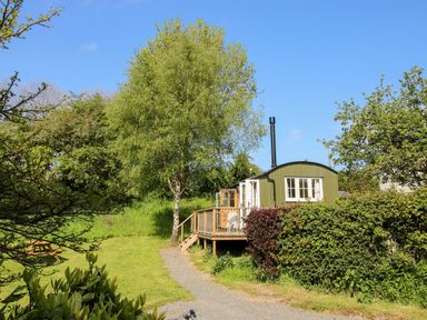A small green cabin with a wooden deck and white chairs surrounded by trees and bushes at Mucklewick Hollow in Minsterley near Bishops Castle