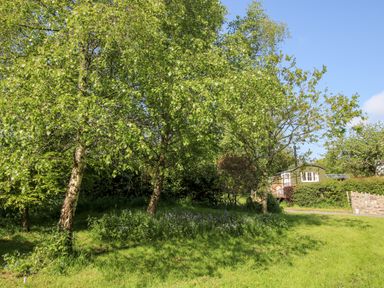 A garden with trees grass and a small green building in the background at Mucklewick Hollow in Minsterley near Bishop's Castle