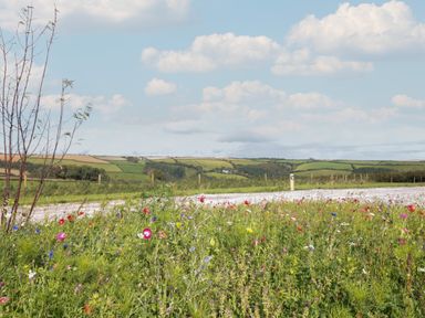 A rural road with wildflowers in the foreground and rolling hills in the background at Bluebell Lodge in Norton near Dartmouth