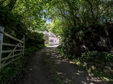 A dirt driveway leading to a house with trees and greenery on both sides at Spring Cottage in Stroud