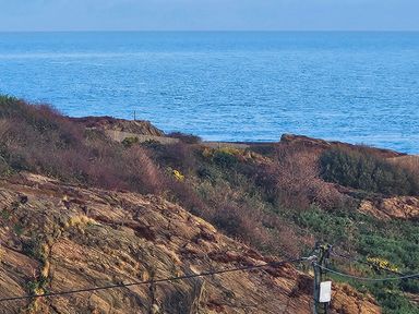 Rocky coastal terrain with shrubs and a fence with the sea in the background at Hedd in Amlwch