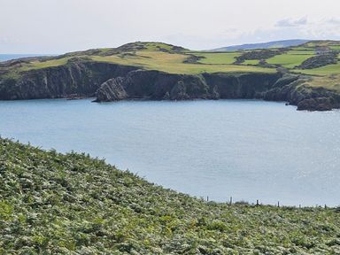 A coastal scene with a bay surrounded by rocky cliffs and green fields at Hedd in Amlwch