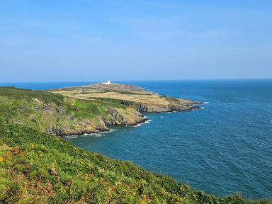 A coastal cliff with greenery and a building in the distance overlooking the ocean at Hedd in Amlwch