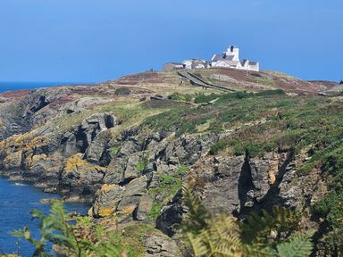 A coastal cliff with rocks and vegetation and a path leading to white buildings at Hedd in Amlwch