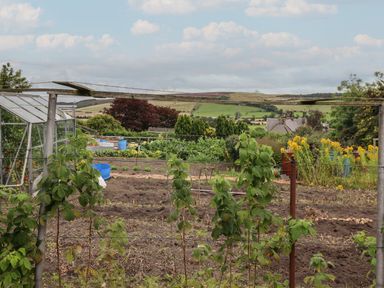 A garden with plants trees and a greenhouse with hills and houses in the background at Glencoe House in Wooler