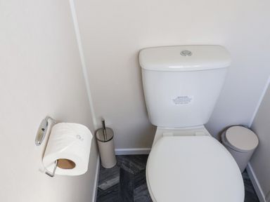 A toilet with a roll of toilet paper on a holder and a toilet brush and bin nearby at Mayflower Lodge in Runswick Bay near Staithes