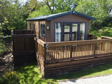 A wooden lodge with a fenced deck surrounded by green trees and grass at Buttercup Lodge in Runswick Bay near Staithes
