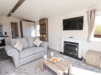 A living room with a gray sofa two cushions a wooden coffee table with a plate of pastries and two mugs a fireplace with a TV mounted above it and a window with curtains at Honeysuckle Lodge in Runswick Bay near Staithes