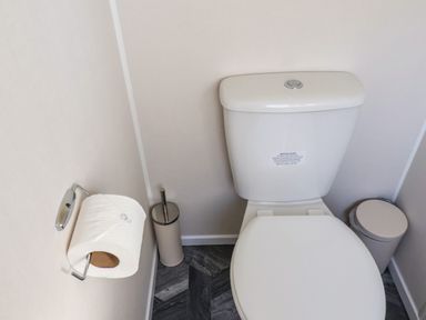 A toilet with a roll of toilet paper on a holder and a toilet brush in the corner at Lilac Lodge in Runswick Bay near Staithes