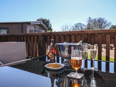A glass table on a patio with drinks snacks and a metal ice bucket outside a wooden cabin at Lilac Lodge in Runswick Bay near Staithes