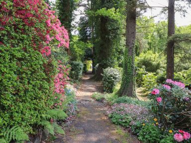A garden pathway lined with trees and flowering bushes at Can Yr Afon in Beddgelert