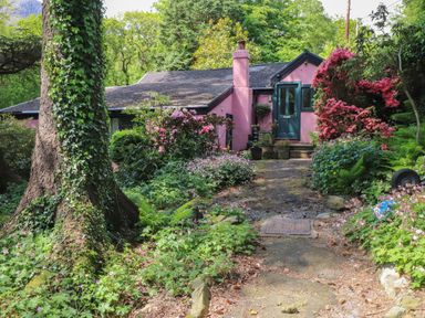 A pink house with a green door surrounded by plants and flowers at Can Yr Afon in Beddgelert