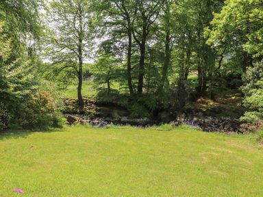 A grassy lawn area with trees and a small stream in the background at Can Yr Afon in Beddgelert