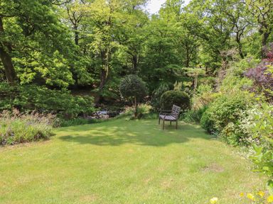 A garden with a wooden bench on grass surrounded by trees and shrubs at Can Yr Afon in Beddgelert