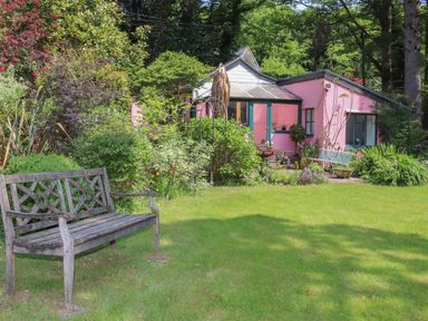 A garden with a wooden bench green lawn plants and a pink house at Can Yr Afon in Beddgelert