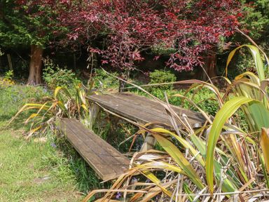 A wooden picnic table with benches surrounded by plants and trees at Can Yr Afon in Beddgelert
