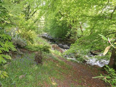 A green forested area beside a rocky stream at Can Yr Afon in Beddgelert