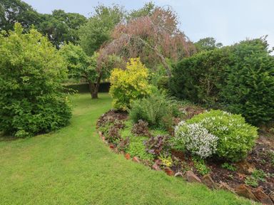 A garden with various bushes and trees along a curved grass path at Thatch Cottage in Buckland Newton