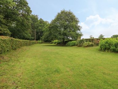 A grassy open area bordered by trees and hedges at Thatch Cottage in Buckland Newton