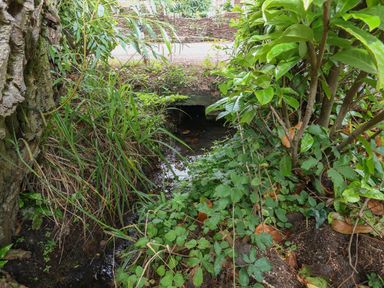 A small water stream with plants and a stone culvert under a path at Thatch Cottage in Buckland Newton