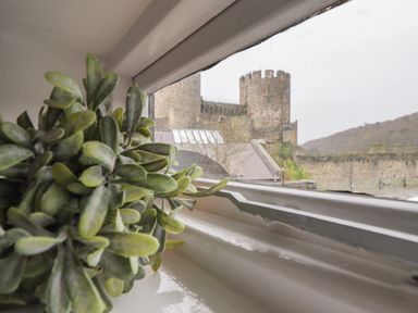 A close-up of a plant on a windowsill with a view of a castle outside at The Old Coach House in Conwy