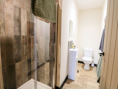 A bathroom with a glass shower enclosure a white toilet and a small white sink at Squirrel Lodge in North Walsham