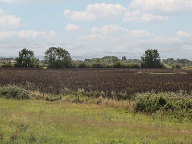 A field with green grass and bushes with trees in the background under a partly cloudy sky at Cherry Tree House in Highbridge