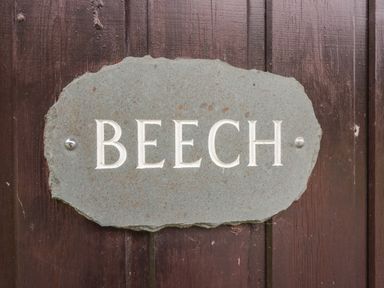 A stone plaque with BEECH engraved on it mounted on a wooden surface at Beech Timber Lodge in Keswick