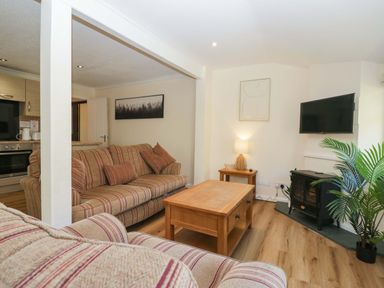 A living room with a sofa and coffee table at Beech Timber Lodge in Keswick