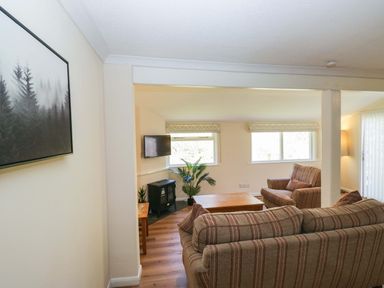 A living room with sofas and a television at Beech Timber Lodge in Keswick
