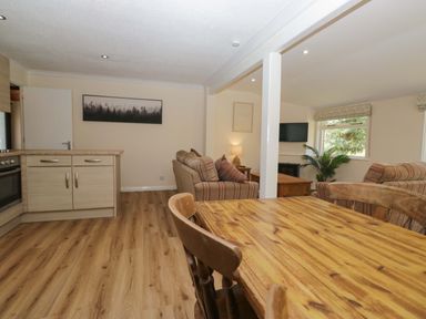 A living room with kitchen area and dining table at Beech Timber Lodge in Keswick