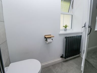 A bathroom with a toilet paper holder a black radiator a small window with a plant on the sill and a partially open door at Riverside Cottage No 3 in Keswick