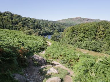 A dirt path with rocks and ferns leading towards a body of water surrounded by trees and hills at Garden Cottage No 1 in Keswick